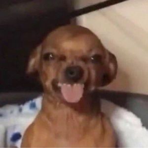 Meet your Posher, Danny